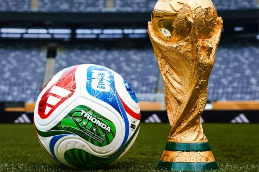 Watch Every FIFA World Cup Match and Earn Over $60,000! Unique Dream Job Goes Viral