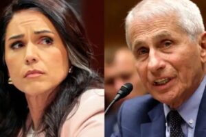 Tulsi Gabbard Alleges Fauci Funded Wuhan Research, Reignites Debate Over COVID Origins