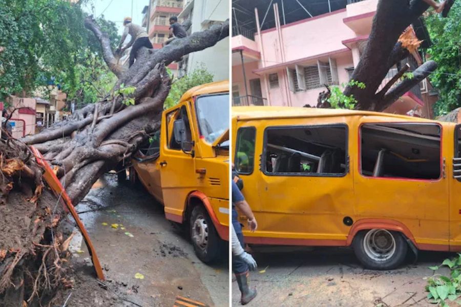 11-Year-Old Student Dies After Tree Falls on School Bus in Mumbai, Four Others Injured