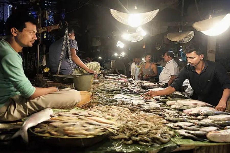 Kilos of frozen chicken and mutton seized! Food safety team collects fish samples from Gariahat Market