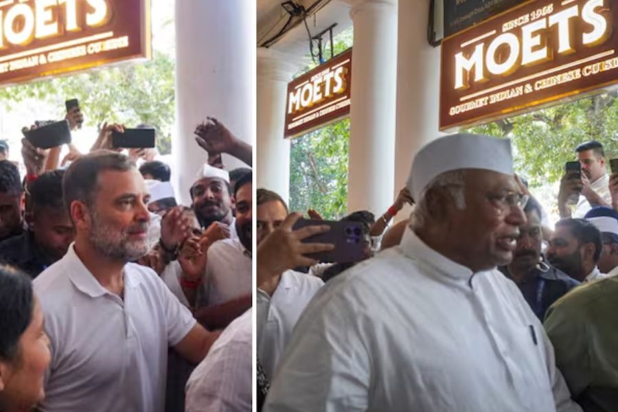 Rahul Gandhi, INDIA bloc leaders’ lunches at Sagar Ratna and Moets draw attention